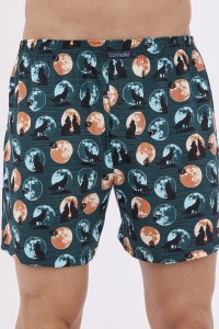 Bokserki męskie Cornette 011/159  3-5XL
