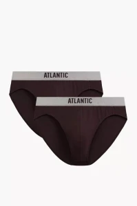 Męskie slipy modal Atlantic 2MP-1589 brązowy 2-pak