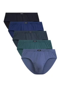 Slipy męskie classic Atlantic 5SMP-003 DENJ/GRA/DEN/NIEC/ZIEJ 5-pak